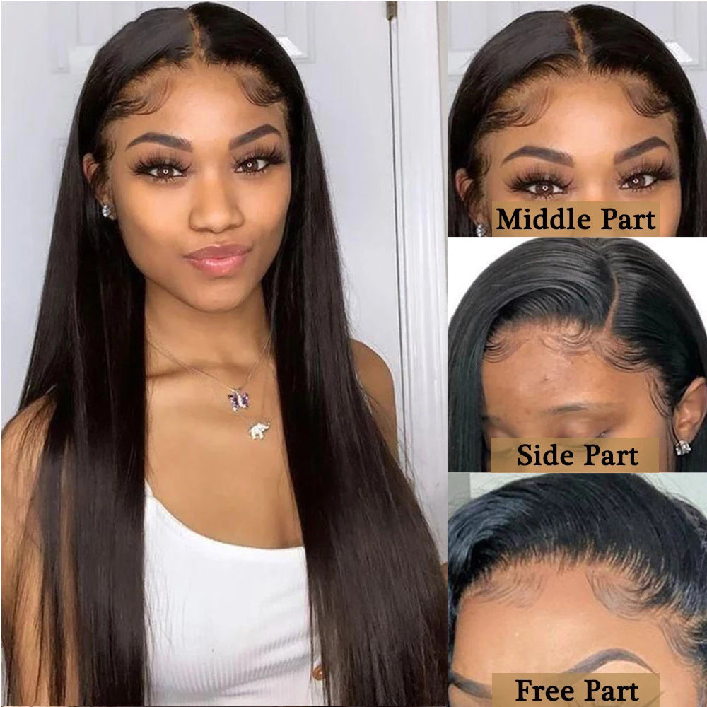 Sleek Human Hair Wig